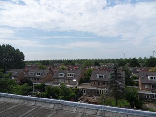 SDC10682
