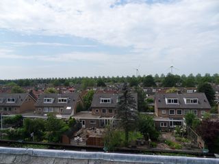 SDC10683