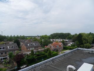 SDC10686