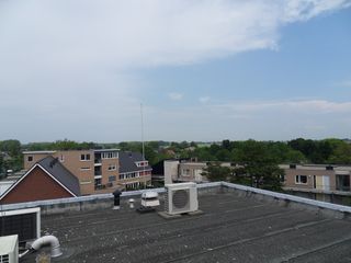 SDC10691