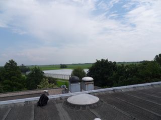 SDC10696