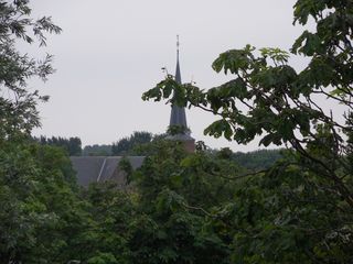 SDC10697