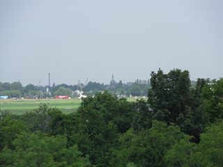 SDC10699