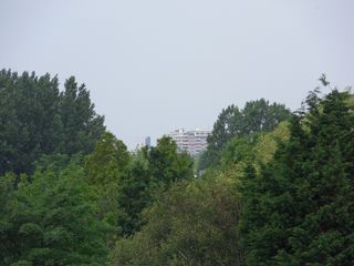 SDC10701
