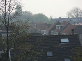 SDC11863