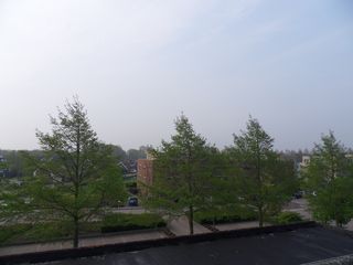SDC11867