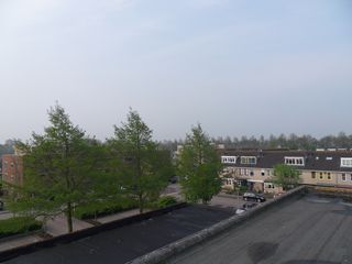 SDC11869