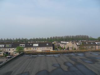 SDC11872