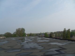 SDC11878