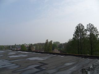 SDC11880