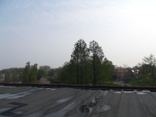 SDC11882