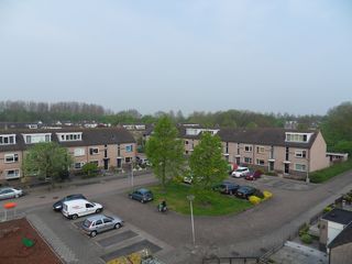 SDC11885
