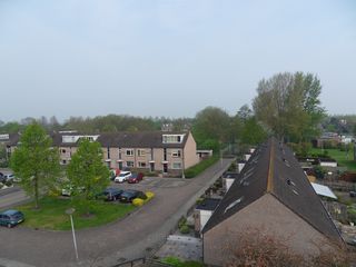 SDC11886