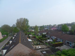 SDC11887