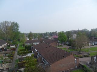 SDC11890