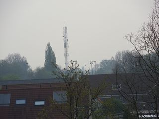SDC11893