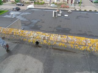SDC11896