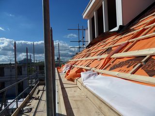 SDC10392