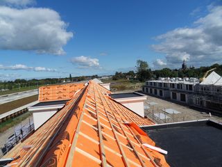 SDC10409