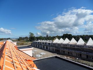 SDC10411