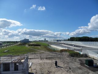 SDC10416