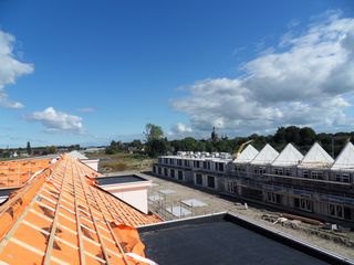 SDC10419