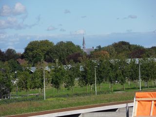 SDC10425