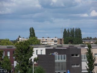 SDC10428