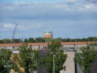 SDC10429