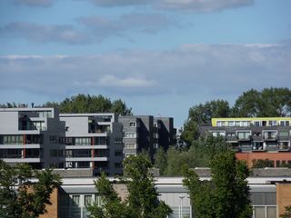 SDC10433