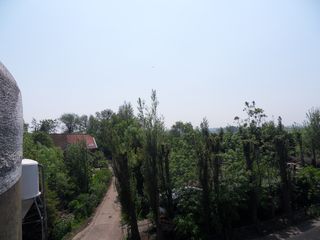 SDC16216