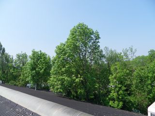 SDC16221