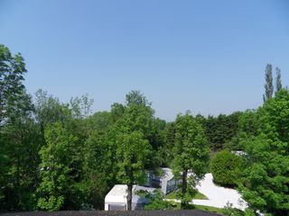 SDC16223