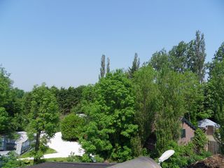 SDC16224
