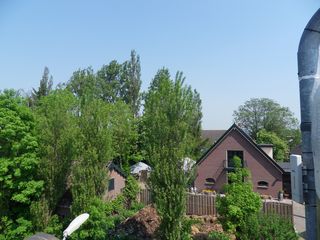 SDC16225