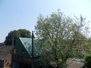 SDC16229