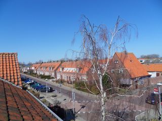 SDC11839