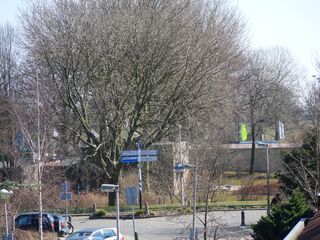 SDC11846