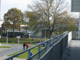 IMG 2618