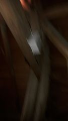 20180201 153751