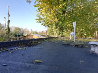 M5 en M2 op het turfhok met in de verte de Eschertoren