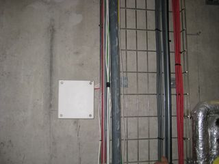 IMG 7095