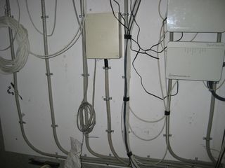 IMG 7093