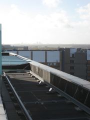 IMG 7055