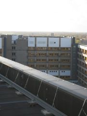 IMG 7054
