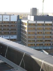 IMG 7053