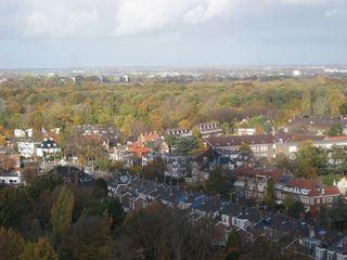 IMG 7044