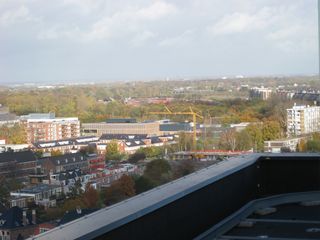 IMG 7043