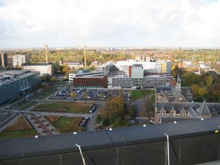 IMG 7041