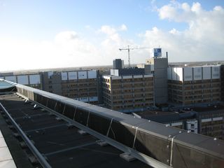 IMG 7037